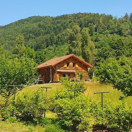 Chalet Des Charbonniers Avec Etang Saint-Maurice-sur-Moselle Exterior photo