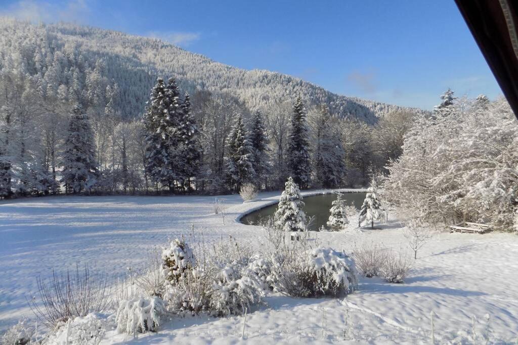 Chalet Des Charbonniers Avec Etang Saint-Maurice-sur-Moselle Exterior photo