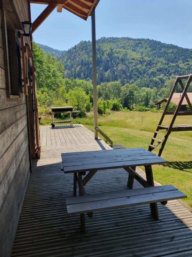 Chalet Des Charbonniers Avec Etang Saint-Maurice-sur-Moselle Exterior photo
